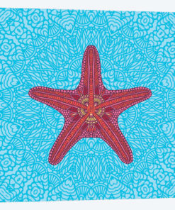 Starfish