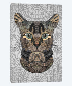 Tabby Cat