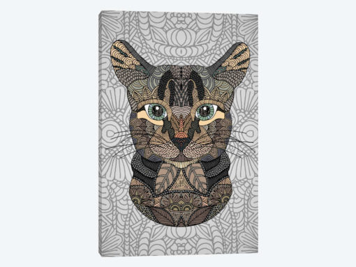 Tabby Cat