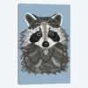 Tangled Raccoon