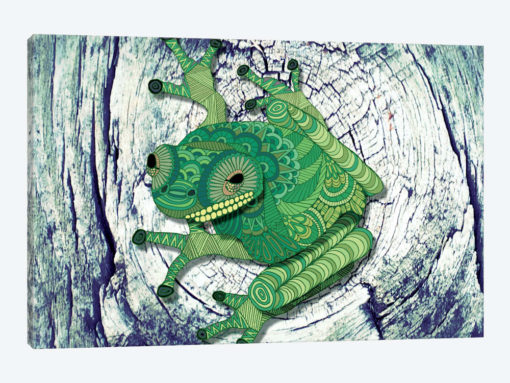 Tree Frog
