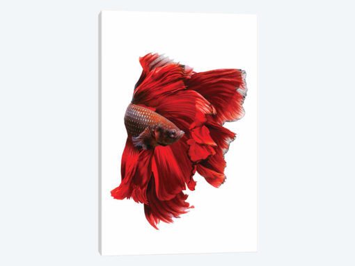 The Red Dress