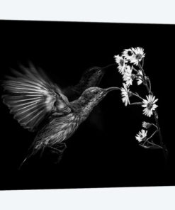 Motion