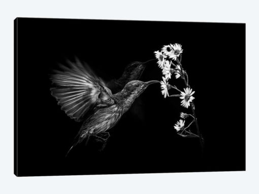 Motion
