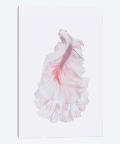 The White Dress