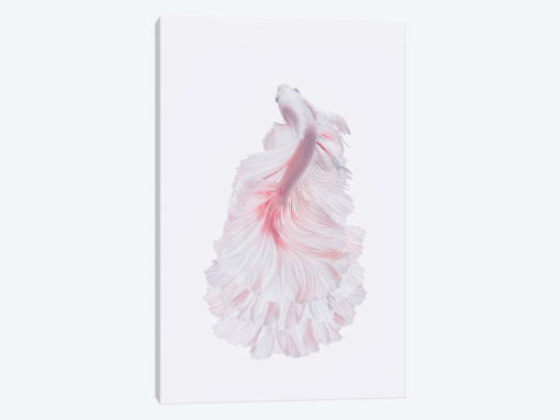 The White Dress