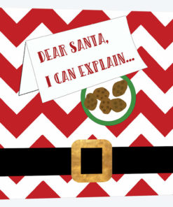 Dear Santa, I Can Explain