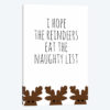 Naughty List