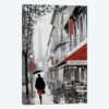 Rainy Paris I