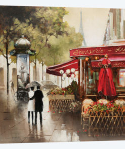 Paris in the Rain