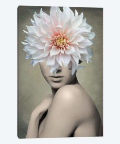 Dahlia