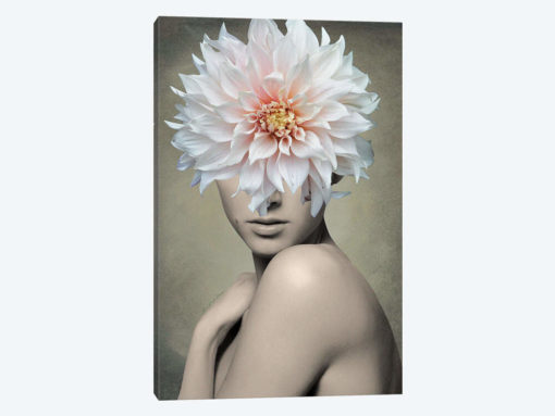 Dahlia