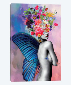 Amora Flowers