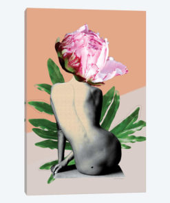 Peony II