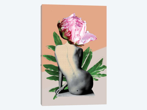 Peony II