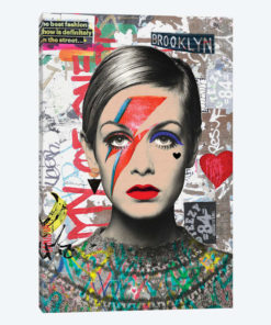 Twiggy Street Art