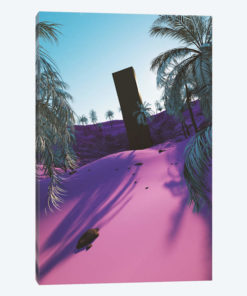 Palm King