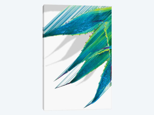 Soaring Agave
