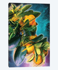 Space Fruit