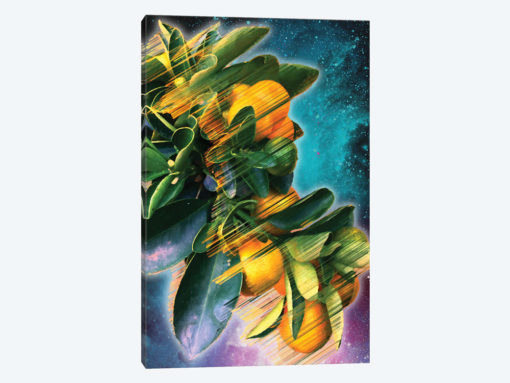 Space Fruit