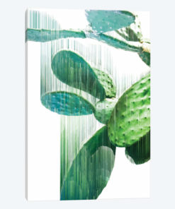 The Fastest Cactus