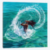Hair Splash