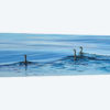 Trois Cormorans