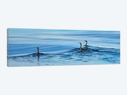 Trois Cormorans