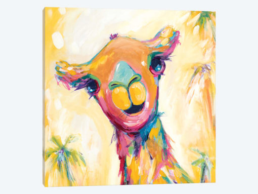 Camel Babe