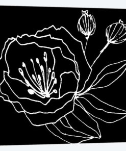 Gera Black