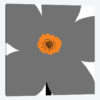 Gray Flower