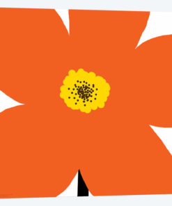 Orange Flower