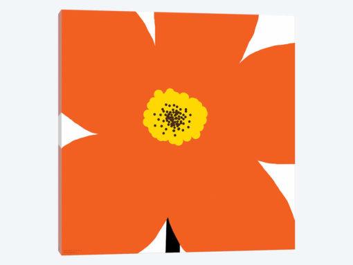 Orange Flower