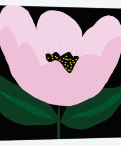 Pink Flower