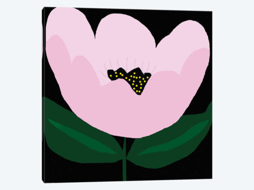 Pink Flower