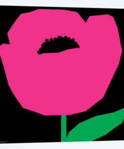 Pink Poppy