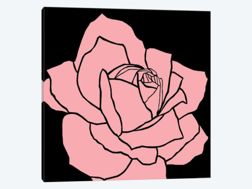 Pink Rose