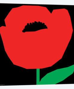 Red Poppy