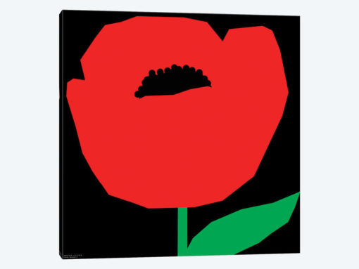 Red Poppy