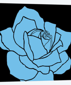 Rose Blue Ida