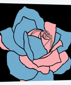 Rose Pink Blue