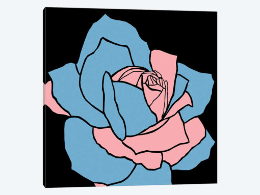 Rose Pink Blue