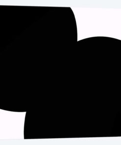 Two Black Circles