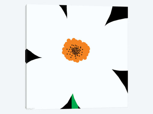 White Flower