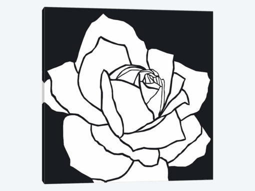 White Rose