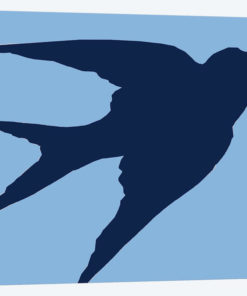 Blue Bird