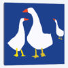 Blue Geese