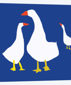 Blue Geese