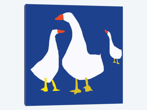 Blue Geese
