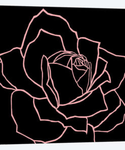 Danna Black Pink